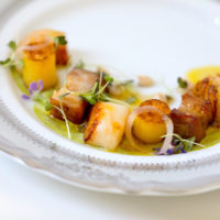 Scallop Plated (1)